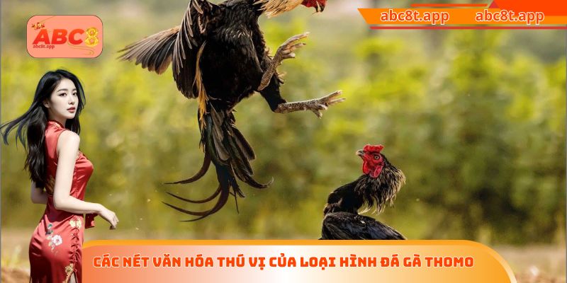 Các nét văn hóa thú vị của loại hình đá gà Thomo