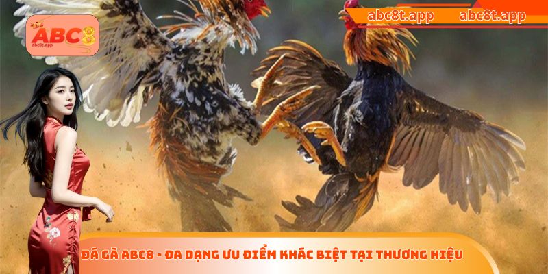 Đá gà ABC8